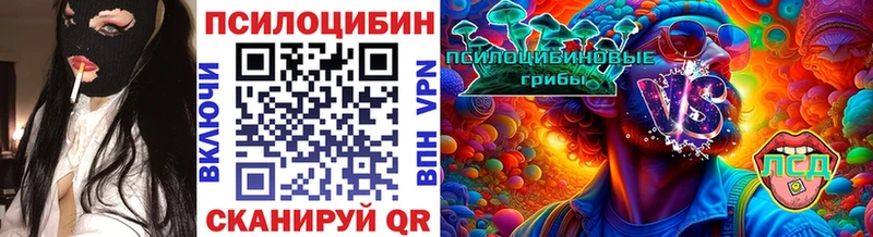 купить закладку  darknet какой сайт  Псилоцибиновые грибы MAGIC MUSHROOMS  Ейск 